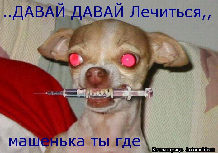 ..ДАВАЙ ДАВАЙ Лечиться,, машенька ты где... Котоматрица: ..ДАВАЙ ДАВАЙ Лечиться,, машенька ты где