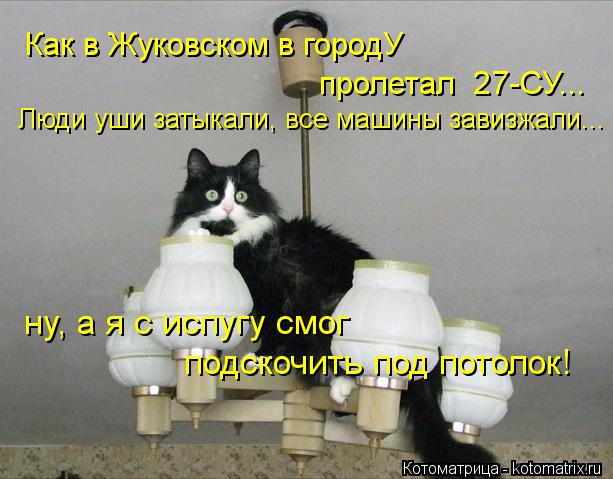 Как в Жуковском в городУ пролетал 27-СУ... Люди уши затыкали, все машины завизжали... ну, а я с испу... Котоматрица: Как в Жуковском в городУ пролетал 27-СУ... Люди уши затыкали, все машины завизжали... ну, а я с испугу смог подскочить под потолок!