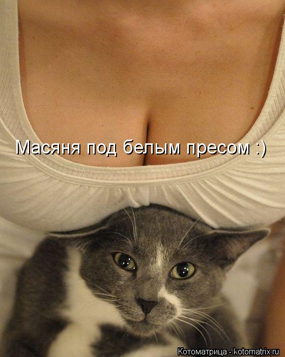 Масяня под белым пресом :)... Котоматрица: Масяня под белым пресом :)