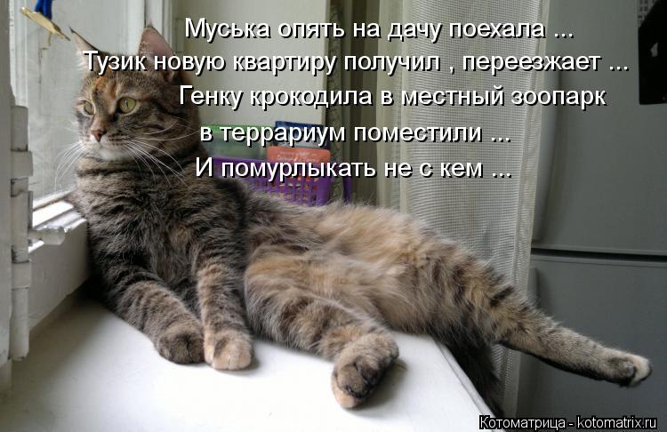 Муська опять на дачу поехала ... Тузик новую квартиру получил , переезжает ... Генку крокодила в мест... Котоматрица: Муська опять на дачу поехала ... Тузик новую квартиру получил , переезжает ... Генку крокодила в местный зоопарк в террариум поместили ... И по