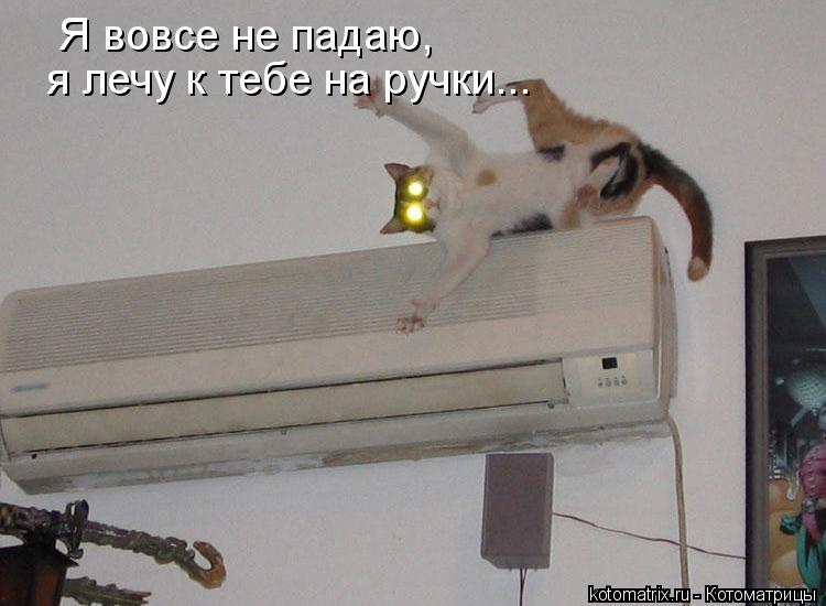 Я вовсе не падаю, я лечу к тебе на ручки...... Котоматрица: Я вовсе не падаю, я лечу к тебе на ручки...