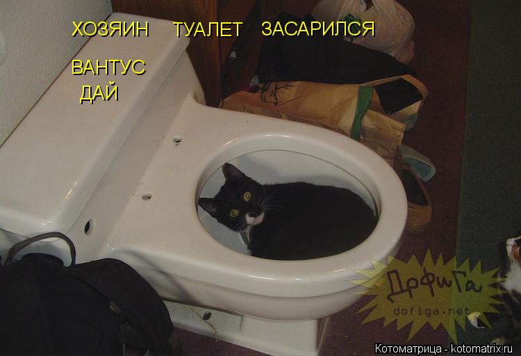 ХОЗЯИН ТУАЛЕТ ЗАСАРИЛСЯ ВАНТУС ДАЙ... Котоматрица: ХОЗЯИН ТУАЛЕТ ЗАСАРИЛСЯ ВАНТУС ДАЙ