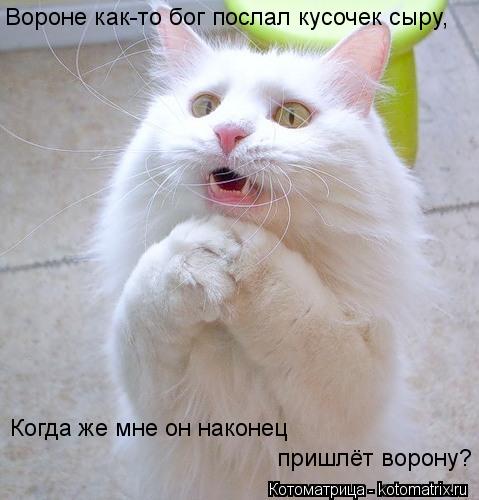 Вороне как-то бог послал кусочек сыру, Когда же мне он наконец пришлёт ворону?... Котоматрица: Вороне как-то бог послал кусочек сыру, Когда же мне он наконец пришлёт ворону?