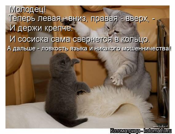 Молодец! Теперь левая - вниз, правая - вверх, - И держи крепче. И сосиска сама свернется в кольцо. А ... Котоматрица: Молодец! Теперь левая - вниз, правая - вверх, - И держи крепче. И сосиска сама свернется в кольцо. А дальше - ловкость языка и никакого мошеннич