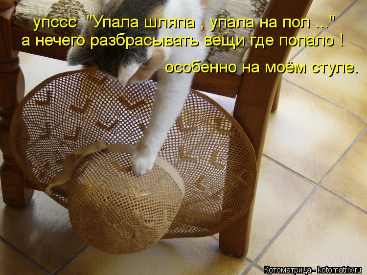 упссс "Упала шляпа , упала на пол ..." а нечего разбрасывать вещи где попало ! особенно на моём стул... Котоматрица: упссс "Упала шляпа , упала на пол ..." а нечего разбрасывать вещи где попало ! особенно на моём стуле.