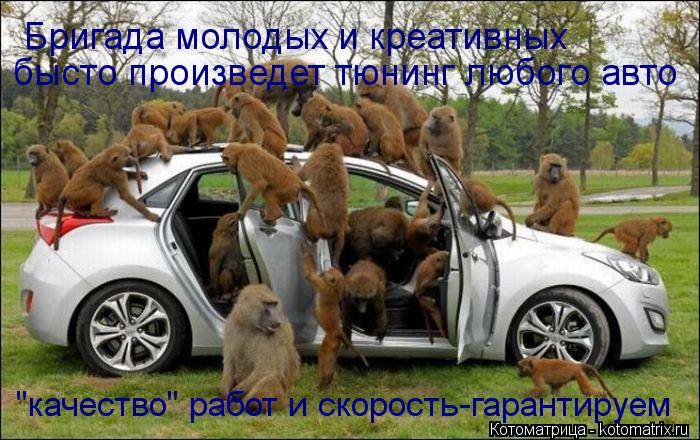 Бригада молодых и креативных бысто произведет тюнинг любого авто "качество" работ и скорость-гарантир... Котоматрица: Бригада молодых и креативных бысто произведет тюнинг любого авто "качество" работ и скорость-гарантируем