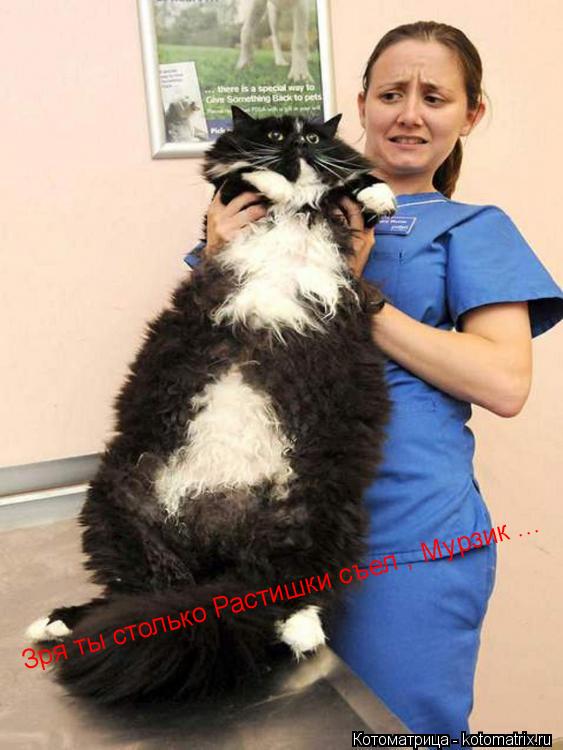 Зря ты столько Растишки съел , Мурзик ...... Котоматрица: Зря ты столько Растишки съел , Мурзик ...