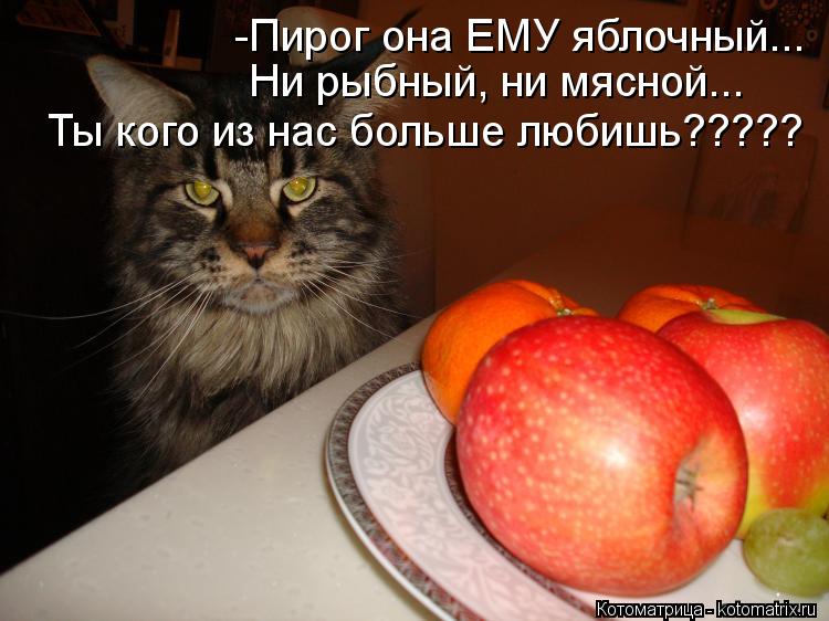 Котоматрица: -Пирог она ЕМУ яблочный... Ни рыбный, ни мясной... Ты кого из нас больше любишь?????