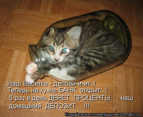 ...Наш Васятка - делови-и-ит..! ..Теперь на кухне БАНК открыт...! ..5 раз в день ДЕРЕТ ПРОЦЕНТЫ..... Котоматрица: ...Наш Васятка - делови-и-ит..! ..Теперь на кухне БАНК открыт...! ..5 раз в день ДЕРЕТ ПРОЦЕНТЫ.. - наш домашний ДЕПОЗИТ ...!!!