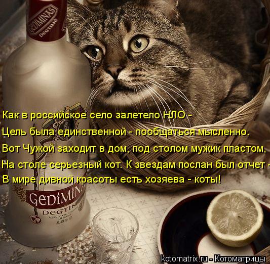 На столе серьезный кот. К звездам послан был отчет - В мире дивной красоты есть хозяева - коты! Вот Ч... Котоматрица: На столе серьезный кот. К звездам послан был отчет - В мире дивной красоты есть хозяева - коты! Вот Чужой заходит в дом, под столом мужик пласт