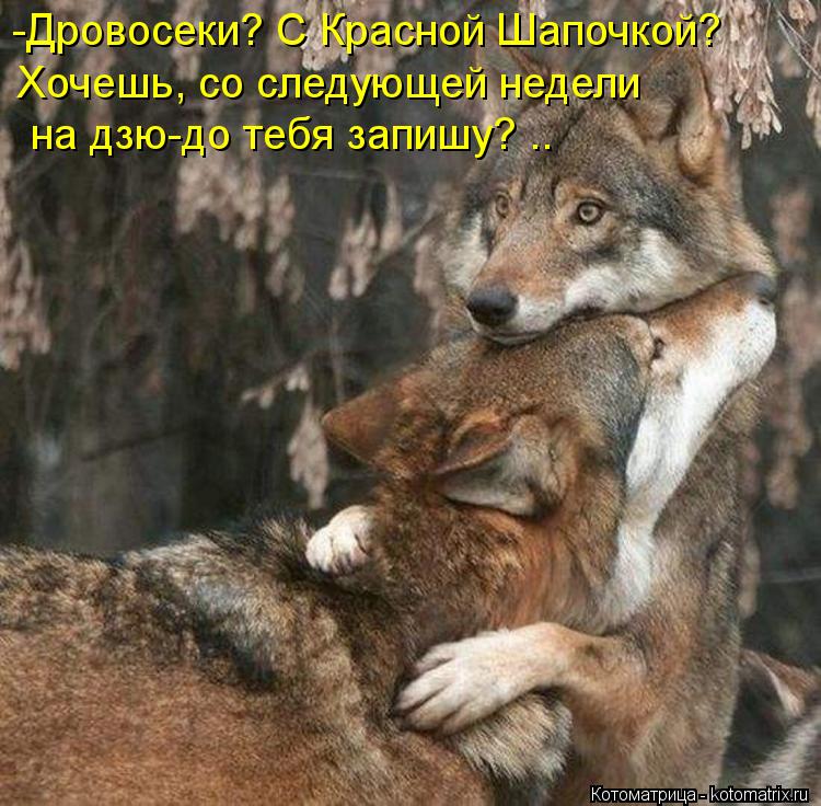 Котоматрица: -Дровосеки? С Красной Шапочкой? Хочешь, со следующей недели  на дзю-до тебя запишу? ..