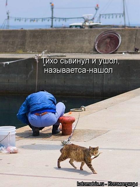 Тихо сьвинул и ушол, называетса-нашол... Котоматрица: Тихо сьвинул и ушол, называетса-нашол