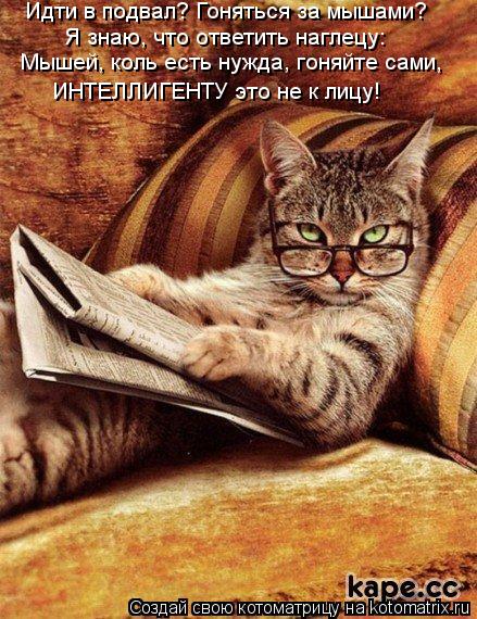 Идти в подвал? Гоняться за мышами? Я знаю, что ответить наглецу: Мышей, коль есть нужда, гоняйте сами... Котоматрица: Идти в подвал? Гоняться за мышами? Я знаю, что ответить наглецу: Мышей, коль есть нужда, гоняйте сами, ИНТЕЛЛИГЕНТУ это не к лицу!