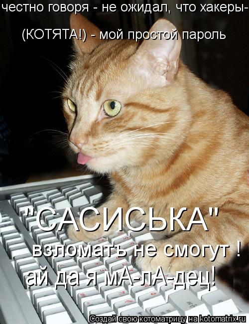 Котоматрица: честно говоря - не ожидал, что хакеры-  (КОТЯТА!) - мой простой пароль  "САСИСЬКА"  взломатъ не смогут !  ай да я мА-лА-дец!