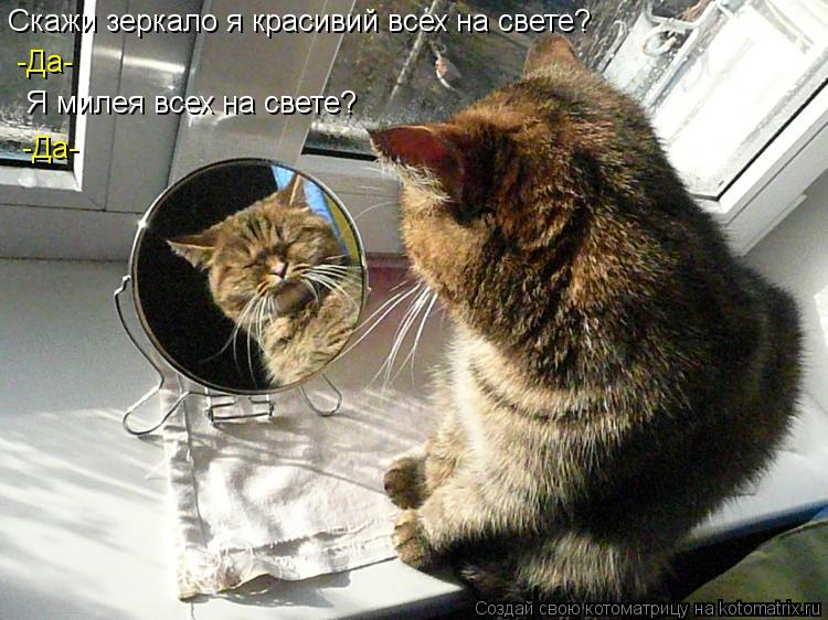 Скажи зеркало я красивий всех на свете? -Да- Я милея всех на свете? -Да-... Котоматрица: Скажи зеркало я красивий всех на свете? -Да- Я милея всех на свете? -Да-