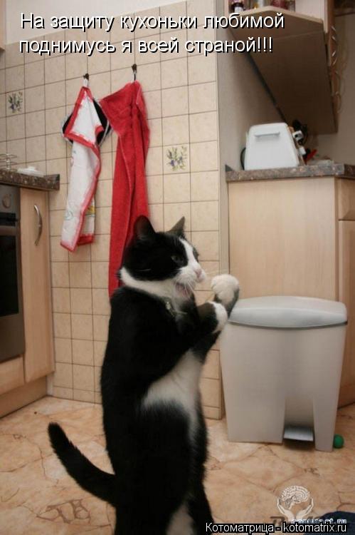 На защиту кухоньки любимой поднимусь я всей страной!!!... Котоматрица: На защиту кухоньки любимой поднимусь я всей страной!!!