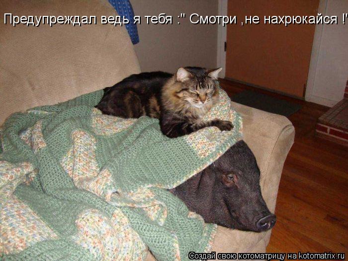 Котоматрица: Предупреждал ведь я тебя :" Смотри ,не нахрюкайся !"
