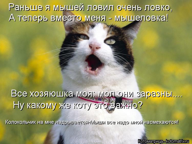 Раньше я мышей ловил очень ловко, А теперь вместо меня - мышеловка! Все хозяюшка моя: мол они заразны... Котоматрица: Раньше я мышей ловил очень ловко, А теперь вместо меня - мышеловка! Все хозяюшка моя: мол они заразны.... Ну какому же коту это важно? Колокольч