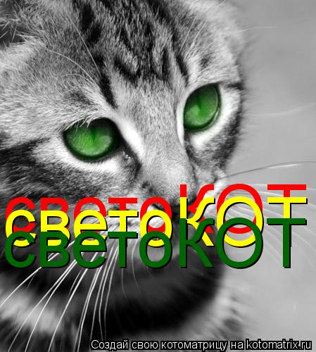 Котоматрица: светоКОТ светоКОТ светоКОТ