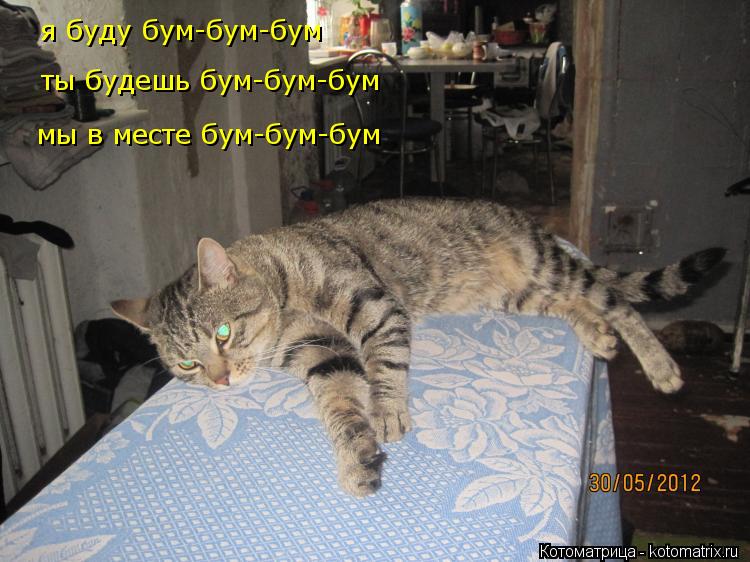 Котоматрица: я буду бум-бум-бум ты будешь бум-бум-бум мы в месте бум-бум-бум