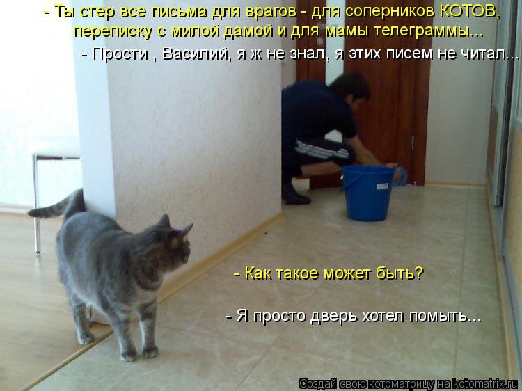 Котоматрица: - Ты стер все письма для врагов - для соперников КОТОВ, переписку с милой дамой и для мамы телеграммы... - Я просто дверь хотел помыть... - Как та