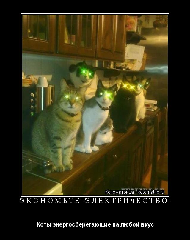 Экономьте электричество! Коты энергосберегающие на любой вкус... Котоматрица: Экономьте электричество! Коты энергосберегающие на любой вкус