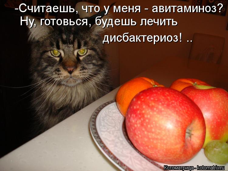 Котоматрица: -Считаешь, что у меня - авитаминоз? Ну, готовься, будешь лечить  дисбактериоз! ..