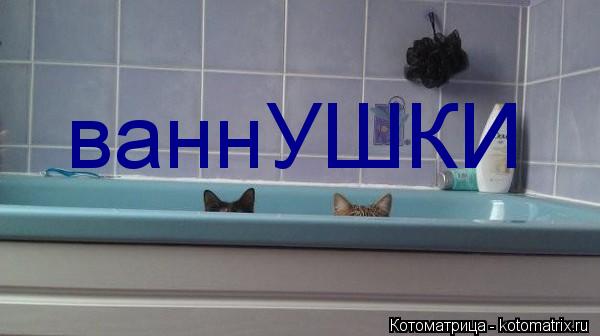 Котоматрица: ваннУШКИ