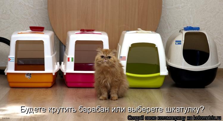 Котоматрица: Будете крутить барабан или выберете шкатулку?