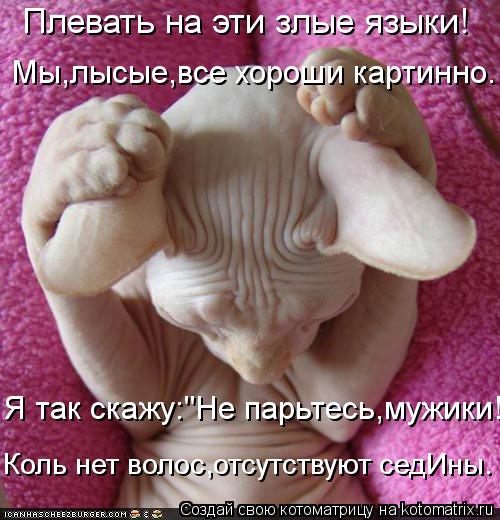 Плевать на эти злые языки! Мы,лысые,все хороши картинно. Я так скажу:"Не парьтесь,мужики!" Коль нет в... Котоматрица: Плевать на эти злые языки! Мы,лысые,все хороши картинно. Я так скажу:"Не парьтесь,мужики!" Коль нет волос,отсутствуют седИны.