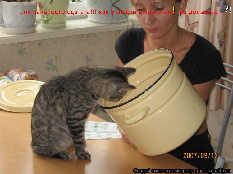 ...ну наконецто еда-а-а!!! как у людей в кострюле!, на донышке... ! ! ?... Котоматрица: ...ну наконецто еда-а-а!!! как у людей в кострюле!, на донышке... ! ! ?