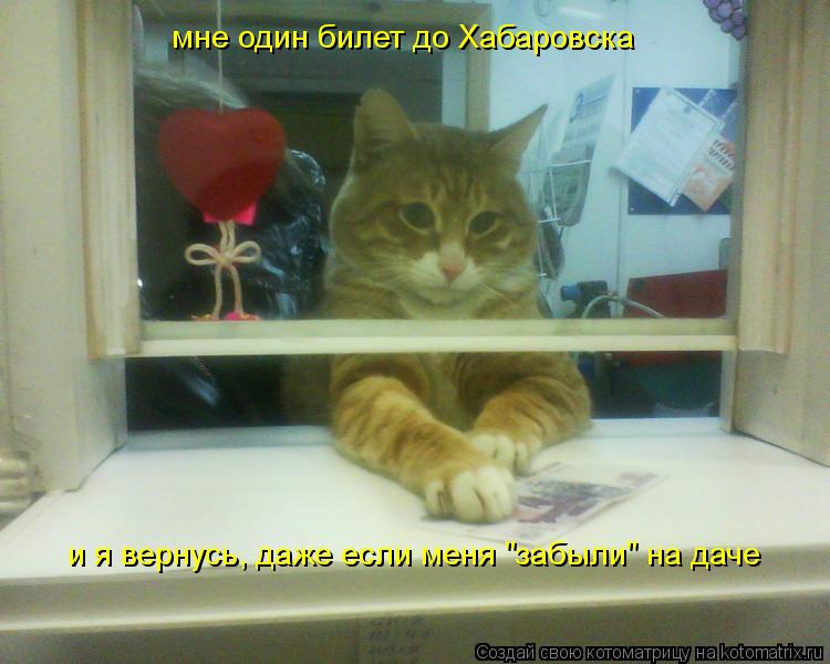 мне один билет до Хабаровска и я вернусь, даже если меня "забыли" на даче... Котоматрица: мне один билет до Хабаровска и я вернусь, даже если меня "забыли" на даче