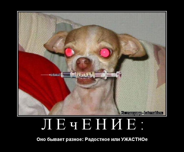 Лечение: Оно бывает разное: Радостное или УЖАСТНОе... Котоматрица: Лечение: Оно бывает разное: Радостное или УЖАСТНОе