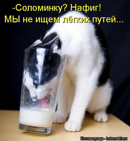 -Соломинку? Нафиг! МЫ не ищем лёгких путей...... Котоматрица: -Соломинку? Нафиг! МЫ не ищем лёгких путей...