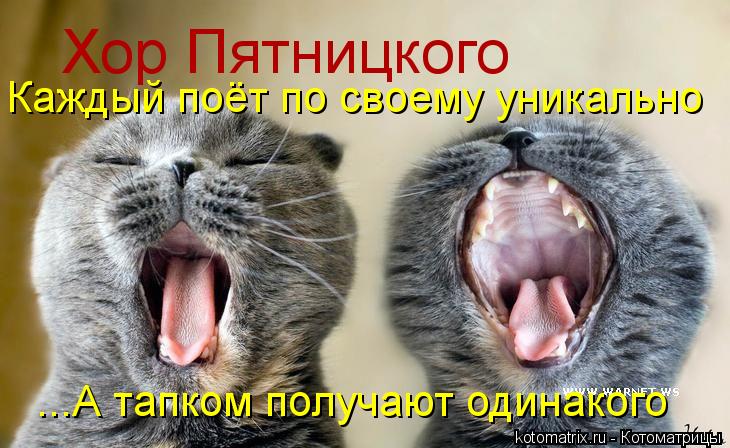 Хор Пятницкого Каждый поёт по своему уникально ...А тапком получают одинакого... Котоматрица: Хор Пятницкого Каждый поёт по своему уникально ...А тапком получают одинакого
