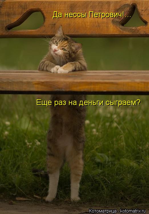 Да нессы Петрович! Еще раз на деньги сыграем? ...... Котоматрица: Да нессы Петрович! Еще раз на деньги сыграем? ...