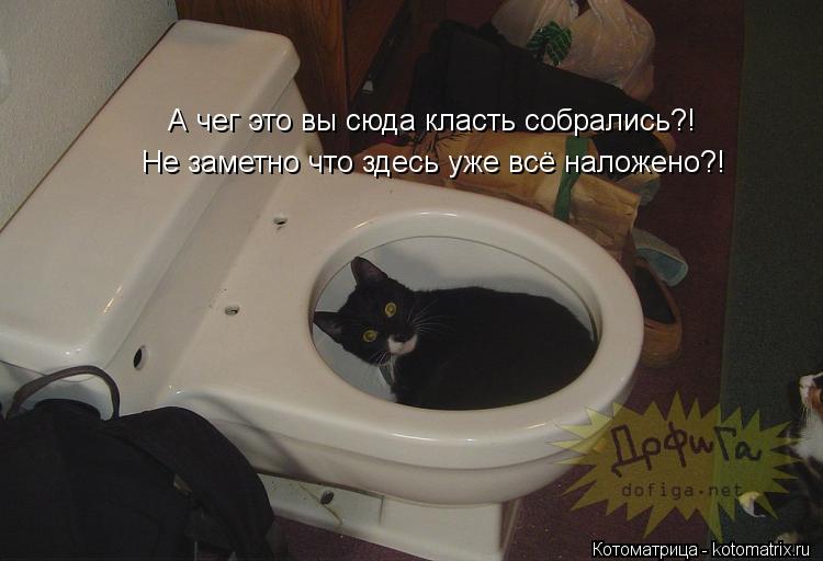 А чег это вы сюда класть собрались?! Не заметно что здесь уже всё наложено?!... Котоматрица: А чег это вы сюда класть собрались?! Не заметно что здесь уже всё наложено?!