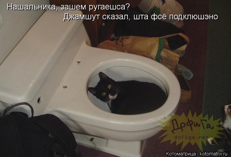 Нашальника, зашем ругаешса? Джамшут сказал, шта фсё подклюшэно... Котоматрица: Нашальника, зашем ругаешса? Джамшут сказал, шта фсё подклюшэно