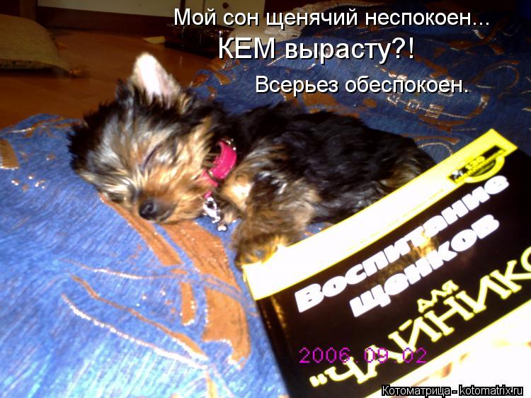 Мой сон щенячий неспокоен... Всерьез обеспокоен. КЕМ вырасту?!... Котоматрица: Мой сон щенячий неспокоен... Всерьез обеспокоен. КЕМ вырасту?!