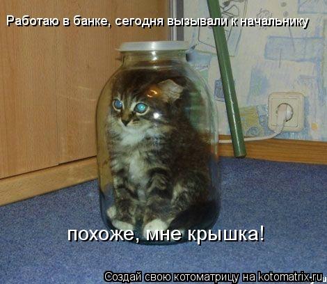 Работаю в банке, сегодня вызывали к начальнику похоже, мне крышка!... Котоматрица: Работаю в банке, сегодня вызывали к начальнику похоже, мне крышка!