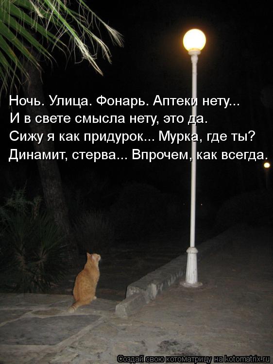 Ночь. Улица. Фонарь. Аптеки нету... И в свете смысла нету, это да. Сижу я как придурок... Мурка, где ... Котоматрица: Ночь. Улица. Фонарь. Аптеки нету... И в свете смысла нету, это да. Сижу я как придурок... Мурка, где ты? Динамит, стерва... Впрочем, как всегда.
