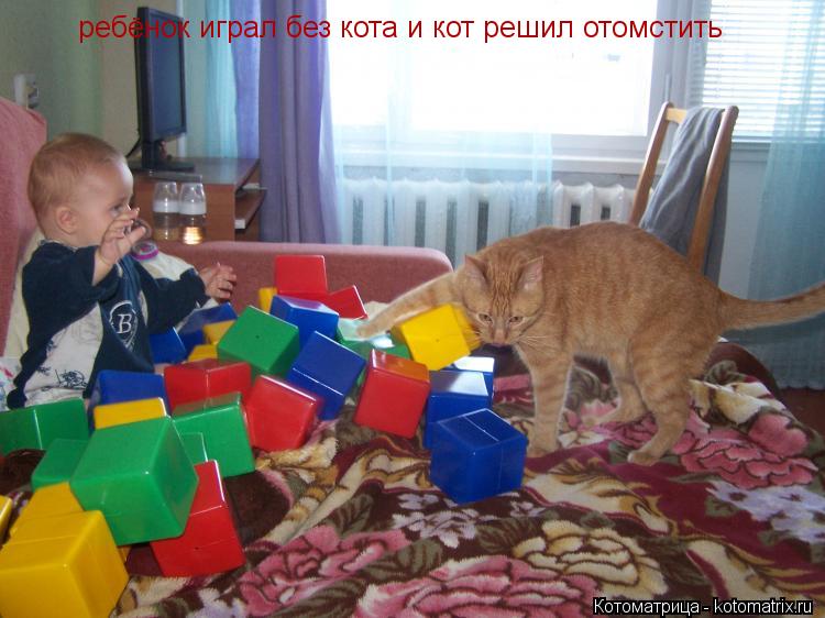 ребёнок играл без кота и кот решил отомстить... Котоматрица: ребёнок играл без кота и кот решил отомстить
