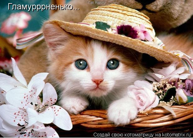 Котоматрица: Гламурррненько...