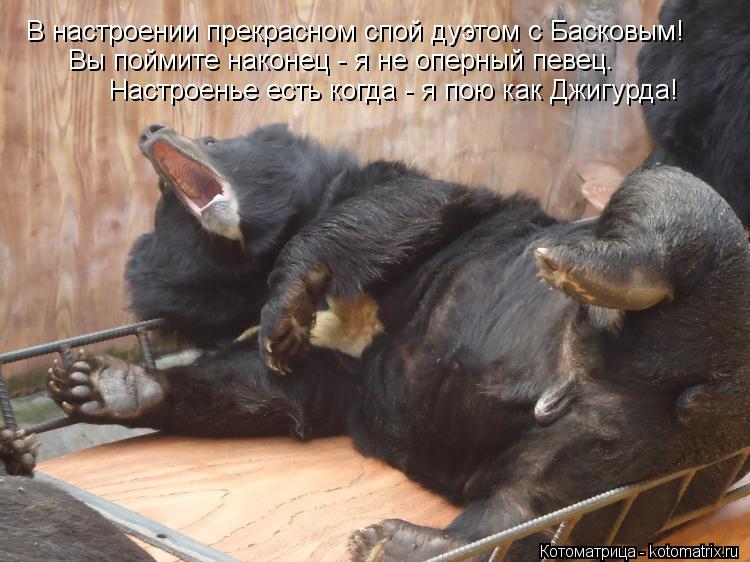 В настроении прекрасном спой дуэтом с Басковым! Вы поймите наконец - я не оперный певец. Настроенье е... Котоматрица: В настроении прекрасном спой дуэтом с Басковым! Вы поймите наконец - я не оперный певец. Настроенье есть когда - я пою как Джигурда!