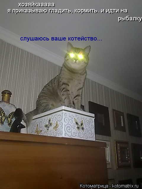 Котоматрица: хозяйкааааа  я приказываю гладить, кормить. и идти на  рыбалку слушаюсь ваше котейство...