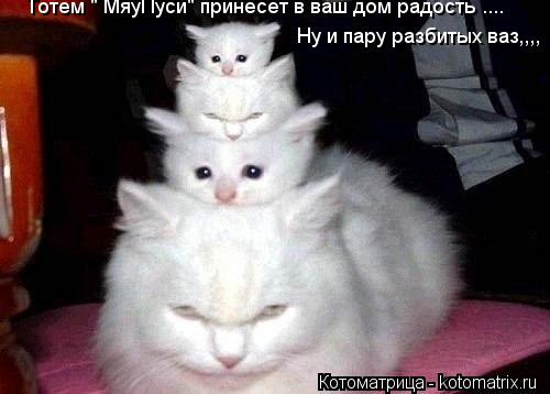 Тотем " МяуПуси" принесет в ваш дом радость .... Ну и пару разбитых ваз,,,,... Котоматрица: Тотем " МяуПуси" принесет в ваш дом радость .... Ну и пару разбитых ваз,,,,