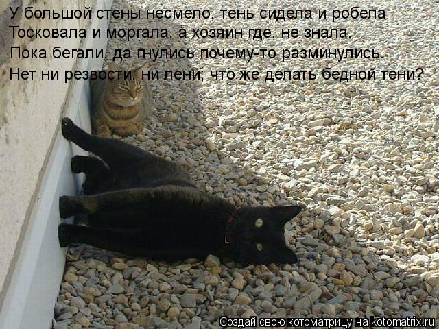 У большой стены несмело, тень сидела и робела Тосковала и моргала, а хозяин где, не знала. Пока бегал... Котоматрица: У большой стены несмело, тень сидела и робела Тосковала и моргала, а хозяин где, не знала. Пока бегали, да гнулись почему-то разминулись. Нет