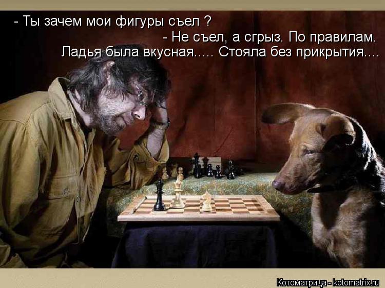 - Ты зачем мои фигуры съел ? - Не съел, а сгрыз. По правилам. Ладья была вкусная..... Стояла без прик... Котоматрица: - Ты зачем мои фигуры съел ? - Не съел, а сгрыз. По правилам. Ладья была вкусная..... Стояла без прикрытия....