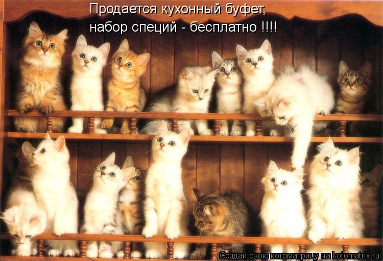 Продается кухонный буфет, набор специй - бесплатно !!!!... Котоматрица: Продается кухонный буфет, набор специй - бесплатно !!!!