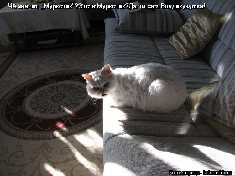 Чё значит ,,Муркотик"?Это я Муркотик?Да ти сам Владикукушка! Чё значит ,,Муркотик"?Это я Муркотик?Да ... Котоматрица: Чё значит ,,Муркотик"?Это я Муркотик?Да ти сам Владикукушка! Чё значит ,,Муркотик"?Это я Муркотик?Да ти сам Владикукушка! Чё значит ,,Муркотик"?